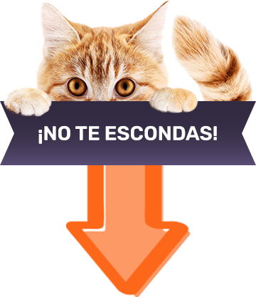 ¡No te escondas!